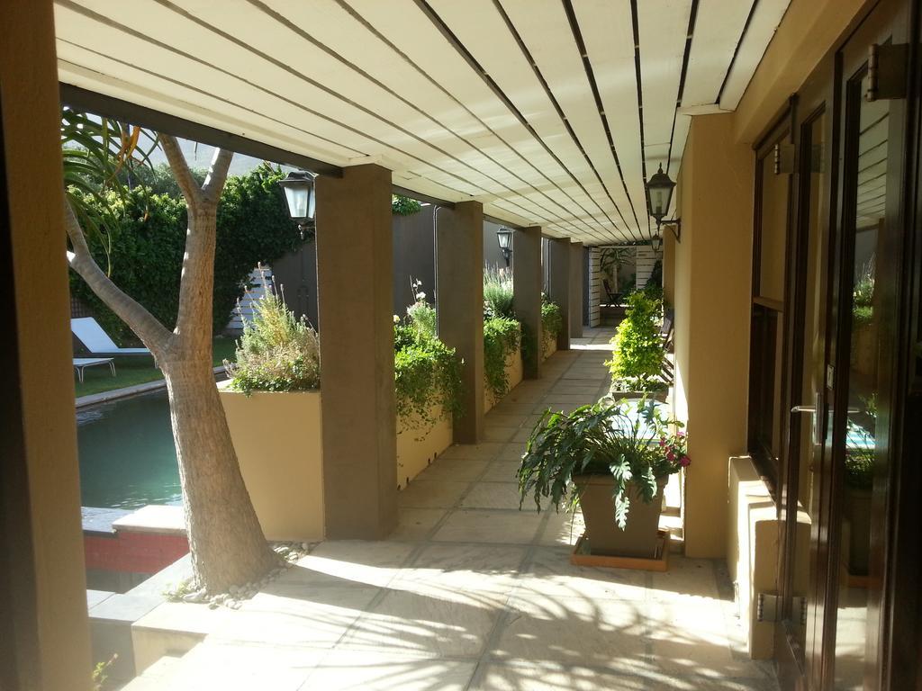 Aloe Guest House Hermanus Eksteriør bilde